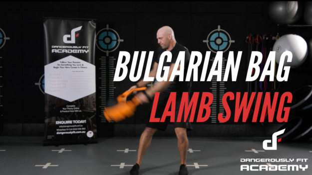 Bulgarian Bag Lamb Swing Bulgarian Bag Lamb Swing